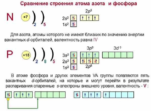 Написать электронное строение атомов азота, углерода, фосфора - Универ ...