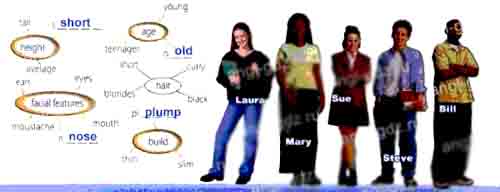 Complete the spidergrams Use words from the spidergrams to describe the ...