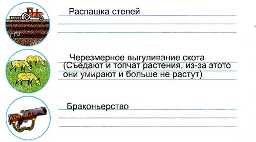 Подумайте, какие экологические проблемы степной зоны