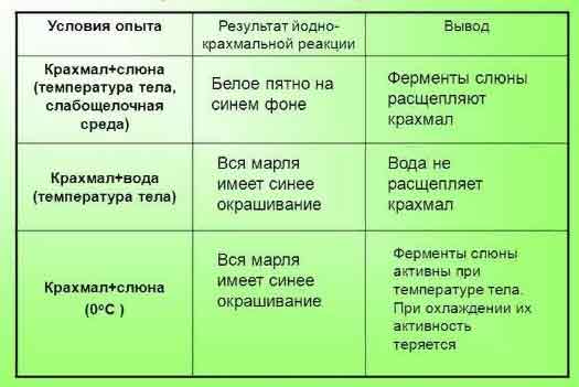 Лабораторная работа Действие ферментов слюны на крахмал. - Универ soloBY