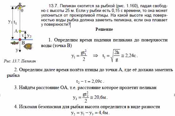 Пеликан охотится за рыбкой (рис. 1.160), падая свободно с высоты 25 м ...