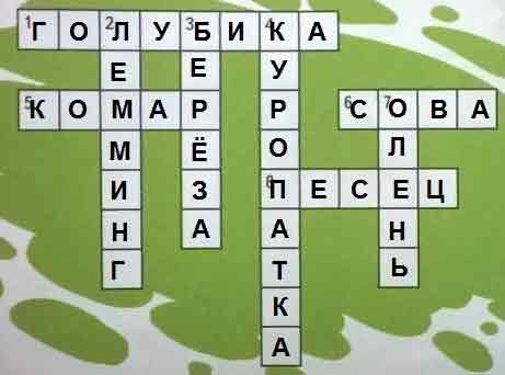 растение тундры получившее название за цвет ягод