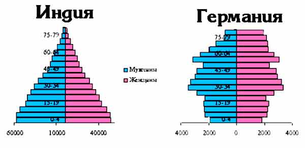 Анализ и сравнение половозрастных пирамид стран разного экономического ...
